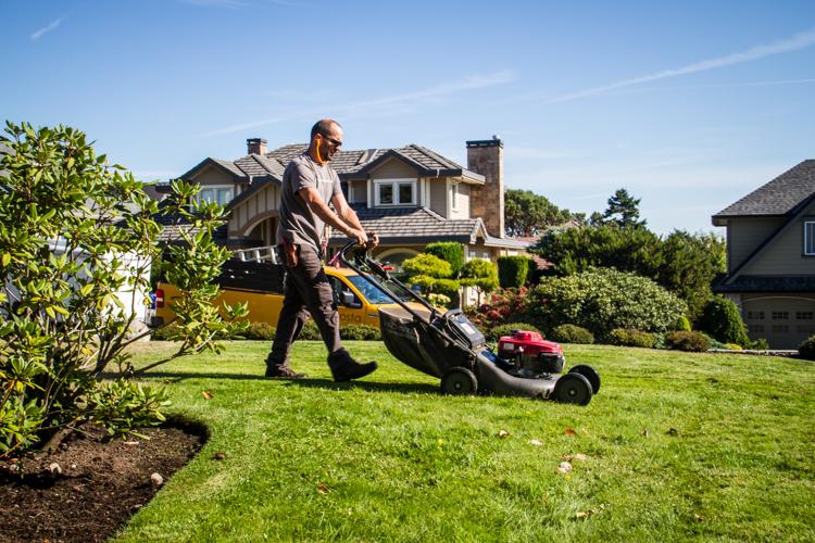 lawn mowing service