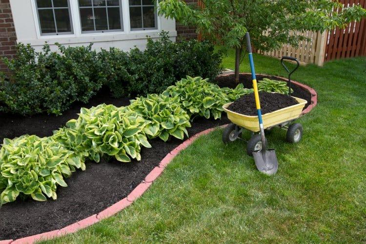 mulching service